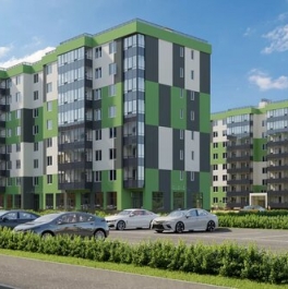 Продажа 1-комн квартиры на вторичном рынке Заневское городское поселение, Ясная улица