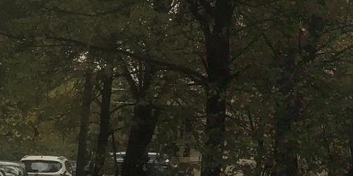 2-комн квартира проспект Косыгина, 9К2