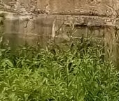 Продать Земельные участки, земля Полет СНТ   