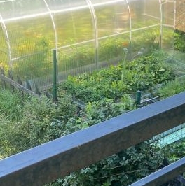 Продажа дома Коммунар г., улица Весенняя Продажа дома Коммунар г., улица Весенняя