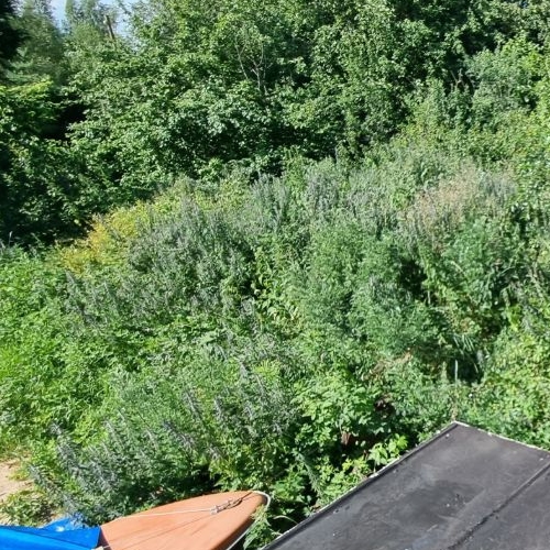 Коттедж/дом д. Бабино, 64