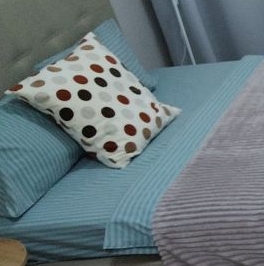 Аренда студии пос. Парголово, проезд Толубеевский, 8к2