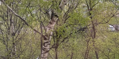 Комната проспект Энтузиастов, 18К2