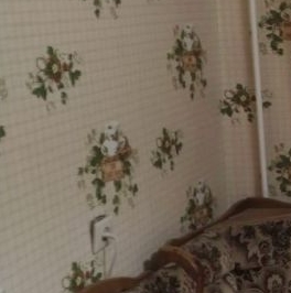 Аренда 1-комн квартиры на вторичном рынке Красногорск, улица Ленина, 55