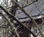 Продать Дачи, коттеджи, загородные дома Мшинская садоводческий массив, дорога Кировская   