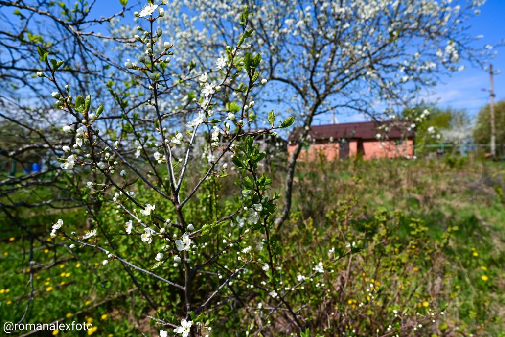 Продажа земли д. Покровская, переулок Динамовский