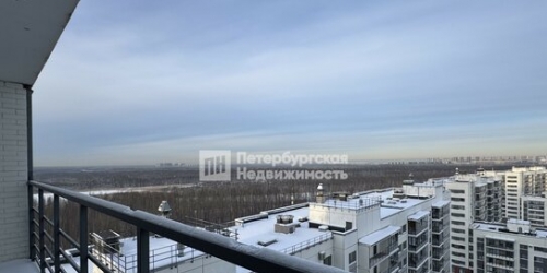 1-комн квартира ул Оптиков,  д. 51,  к. 1