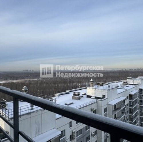 1-комн квартира ул Оптиков,  д. 51,  к. 1