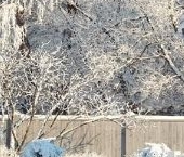 Продать Дачи, коттеджи, загородные дома пос. Ромашки, улица Полевая   