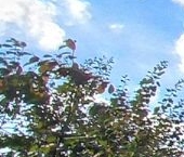 Продать Квартиры вторичка Ленинградское шоссе, 8К1   