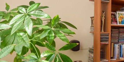 4-комн квартира Подъездной переулок, 10