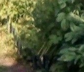 Продать Земельные участки, земля Пески СНТ, 13-я линия   