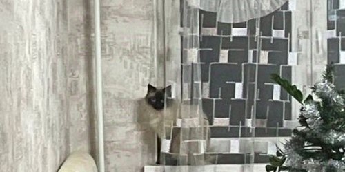 2-комн квартира улица Маршала Захарова, 39