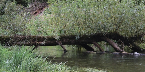 1-комн квартира Наташинская ул, Люберцы г, Люберецкий р-н ,  д. 12