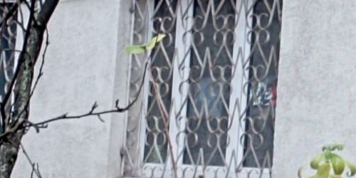 1-комн квартира Реутовская улица, 12К1