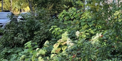 2-комн квартира 2-й Саратовский проезд, 8