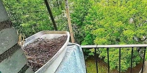 2-комн квартира пос. Песочный, Ленинградская улица, 70к1