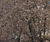 Сдать в аренду Квартиры вторичка Новодевичий проезд, 10   