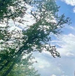 Аренда 1-комн квартиры на вторичном рынке 2-й Нагатинский проезд, 6к1