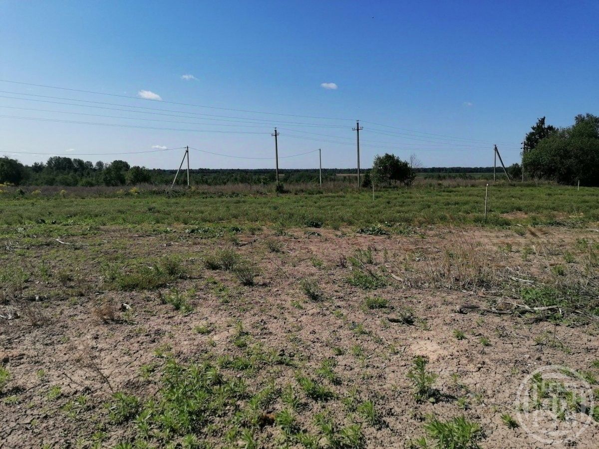 Продажа земли д. Подгородье, улица Новгородская
