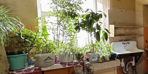 Комната Страстной бульвар, 4С3