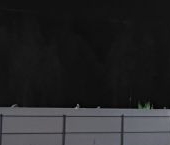 Продать Дачи, коттеджи, загородные дома Ижорец-2 СНТ, улица Миланская, 5   