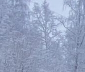 Продать Квартиры вторичка Всеволожск, Колтушское шоссе, 92   