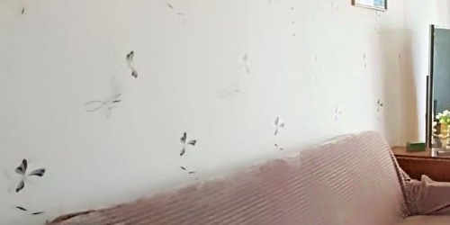 1-комн квартира Лодейное поле, улица Гагарина, 12