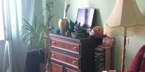 3-комн квартира Тосно г., улица Блинникова, 14