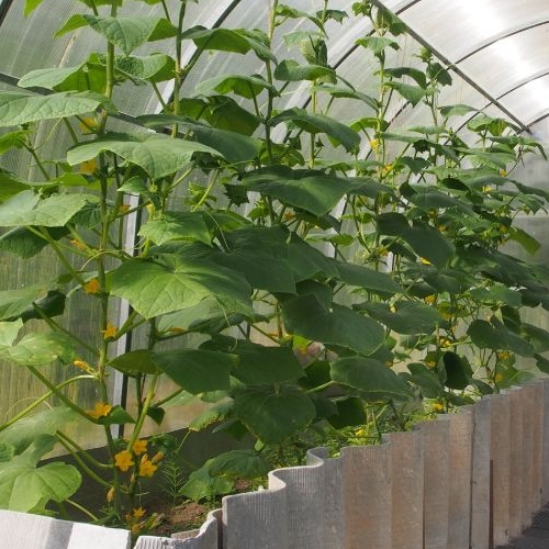 Коттедж/дом Лебяжье тер., проезд Фонтанный