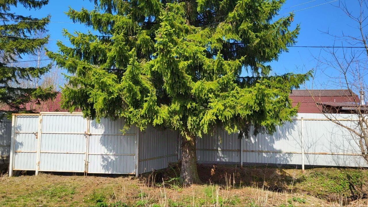 Продажа дома Мяглово-Карьер садоводческий массив, Север СНТ, 30-я линия, 1077,  д. 1077