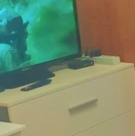 Аренда студии Мурино, улица Екатерининская, 8к1 Аренда студии Мурино, улица Екатерининская, 8к1