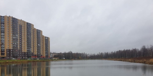 1-комн квартира Металлострой пос., Плановая ул. ,  д. 22