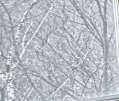 Сдать в аренду Квартиры вторичка Дубнинская улица, 16К6   