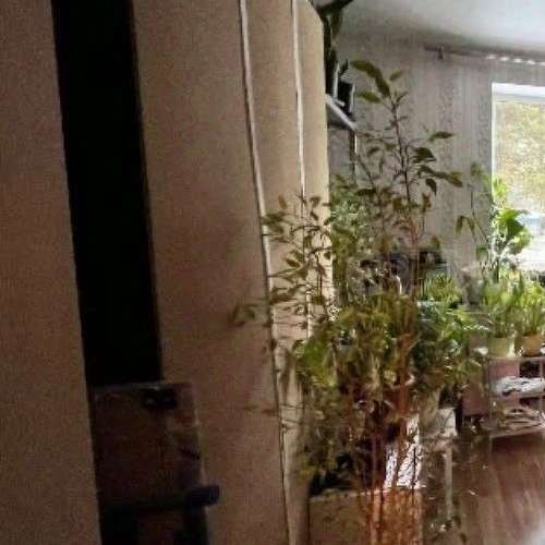 2-комн квартира Будогощь пгт, улица Советская, 16/2к3