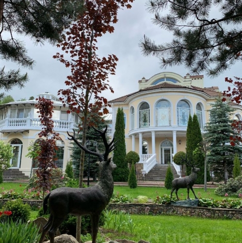 Коттедж/дом Борзые, Центральная улица,  д. 11А