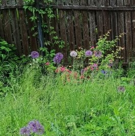 Продажа дома д. Брод, улица 1-ая Малобродская