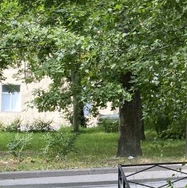 Продажа 2-комн квартиры на вторичном рынке пос. Стрельна, Санкт-Петербургское шоссе, 86