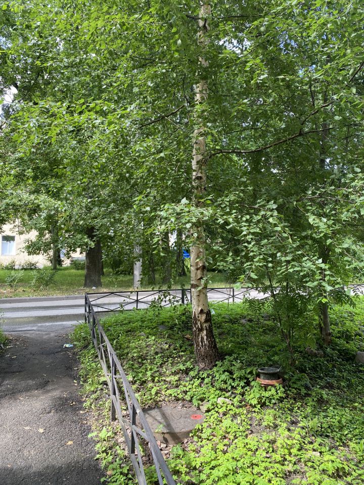 Продажа 2-комн квартиры на вторичном рынке пос. Стрельна, Санкт-Петербургское шоссе, 86