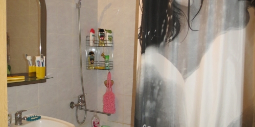 3-комн квартира Пушкинский район посёлок Шушары территория Славянка Полоцкая улица,  д. 3