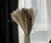 Сдать в аренду Квартиры вторичка улица Малая Очаковская, 4Ак2   