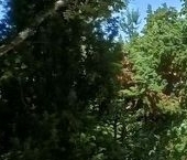 Продать Дачи, коттеджи, загородные дома Топограф СНТ  32 