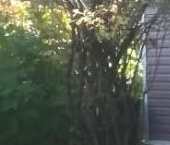 Продать Дачи, коттеджи, загородные дома Мшинская садоводческий массив, ЛОС СНТ   