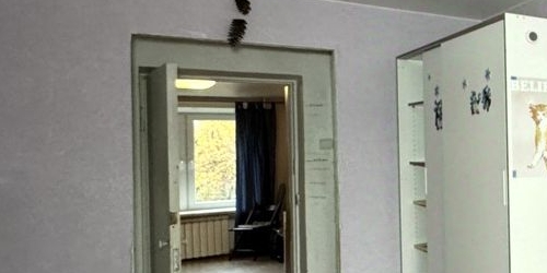 3-комн квартира проспект Энергетиков, 42