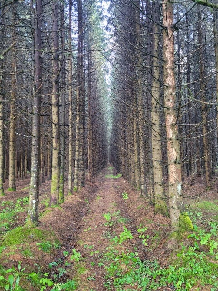 Продажа дома Удачное ДНП, 1