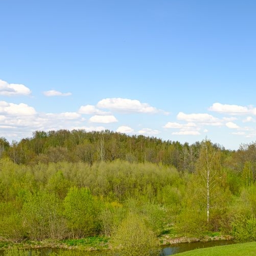 Коттедж/дом Петергоф, улица Морская, 4