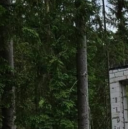 Продажа дома д. Сярьги, Колос СНТ Продажа дома д. Сярьги, Колос СНТ