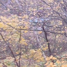 Продажа 1-комн квартиры на вторичном рынке д. Федурново, улица Авиарембаза, 1