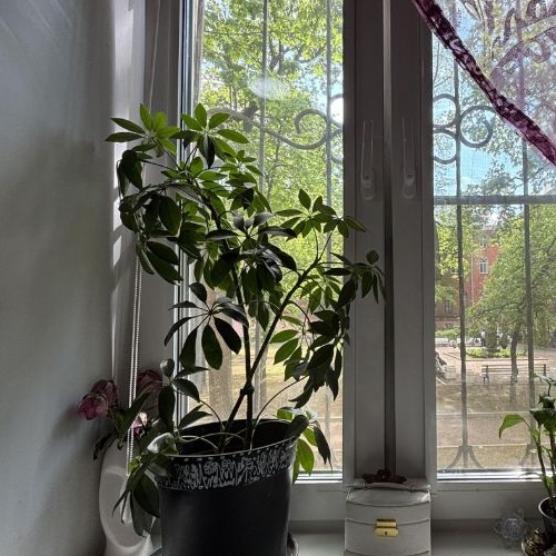 2-комн квартира Литейный проспект, 35