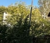 Продать Квартиры вторичка с. Усадище, улица Южная, 7   